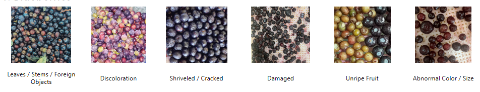 IQF Optical Sorting for Frozen2.png